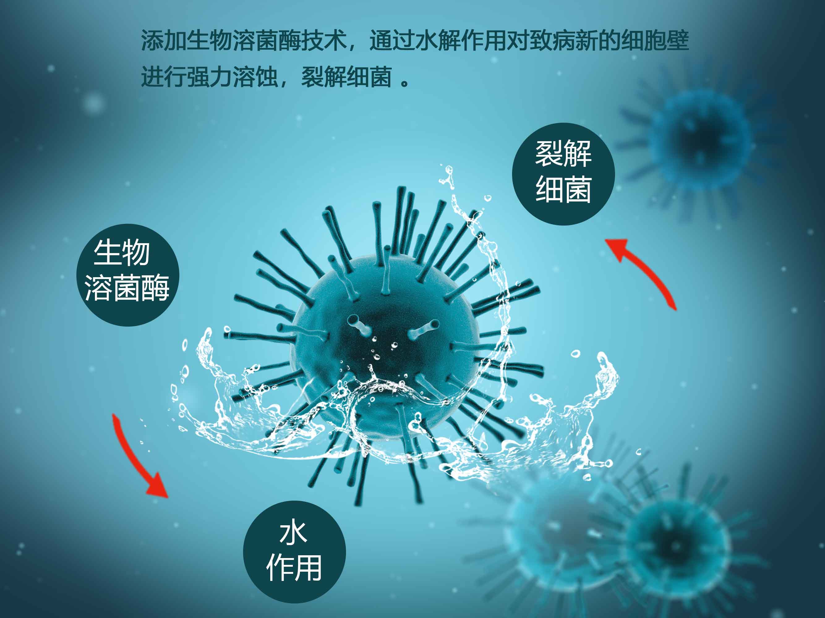 疫情常态化过度消毒危害极大,福赛生物酶技解决消毒剂致命难题