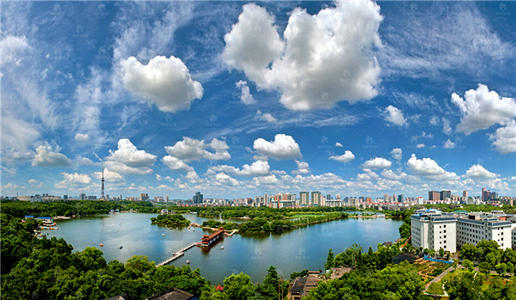 垃圾养殖环保治理